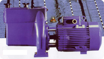 Calpeda NMP commercial swimming pool Pump